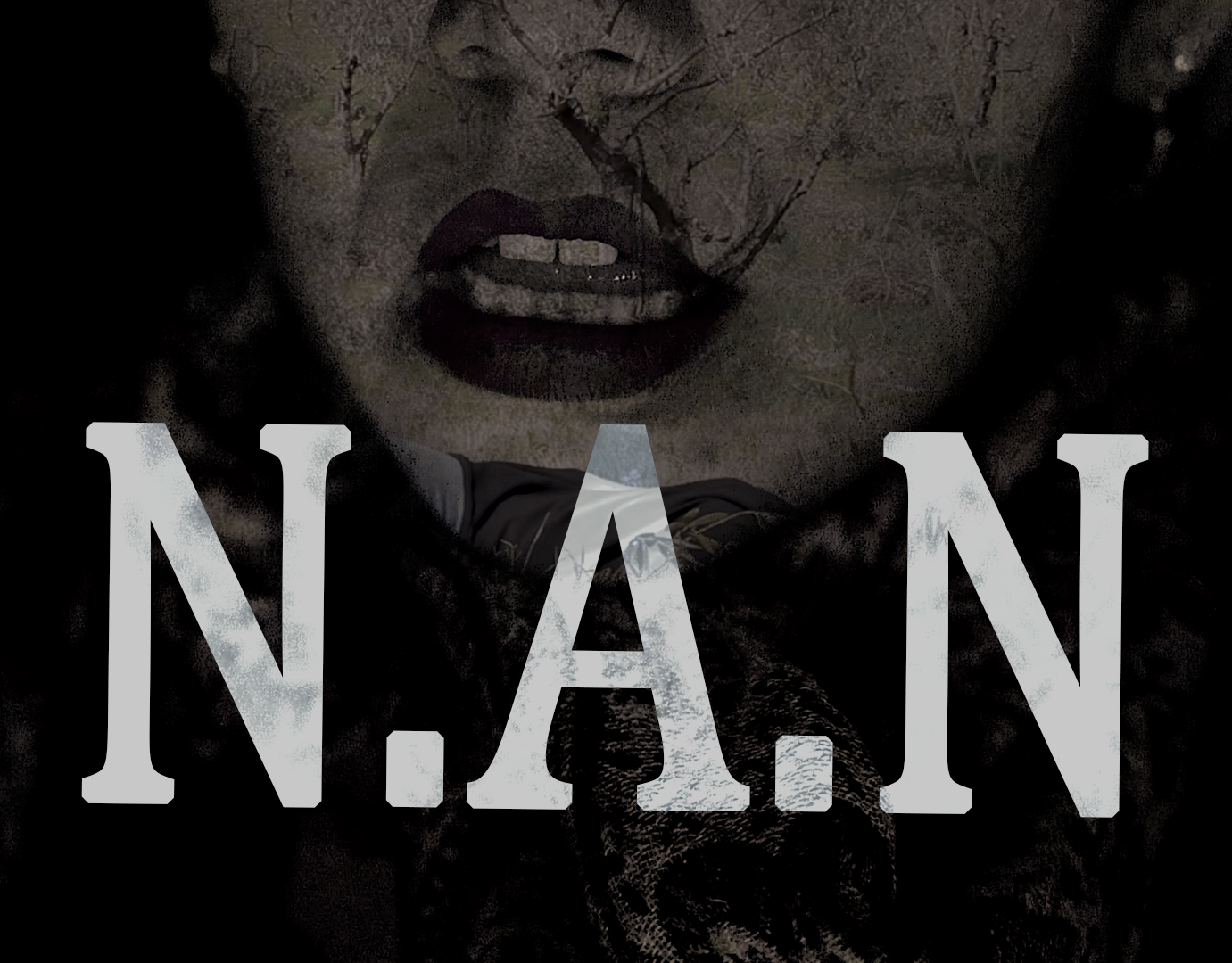 N.A.N - Guarda il video